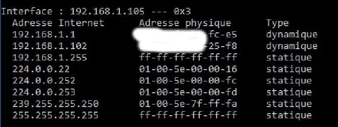 Local IP/ARP address mapping